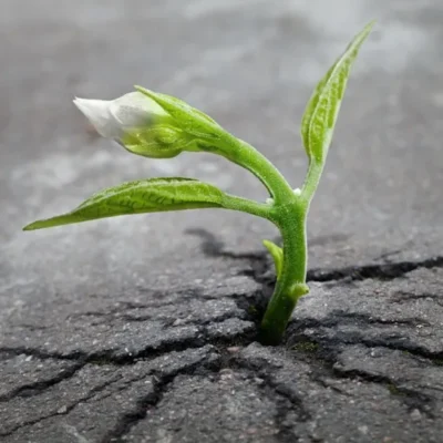 RESTART